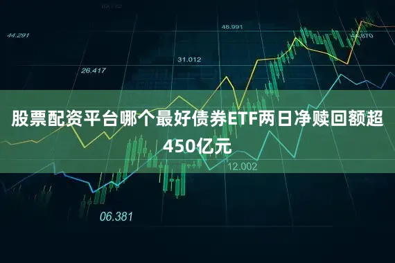 股票配资平台哪个最好债券ETF两日净赎回额超450亿元