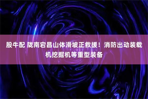 股牛配 陇南宕昌山体滑坡正救援!消防出动装载机挖掘机等重型装备