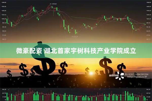 微豪配资 湖北首家宇树科技产业学院成立