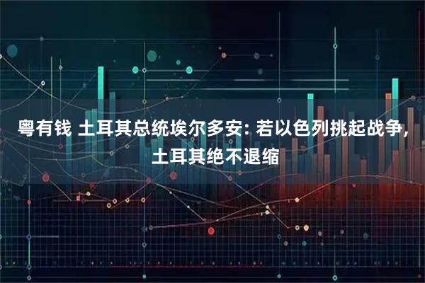 粤有钱 土耳其总统埃尔多安: 若以色列挑起战争, 土耳其绝不退缩
